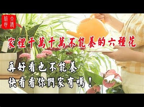 家裡不能放的花|【家裡不能放 的花】家裡不能放的5種花！風水禁忌大公開，招煞。